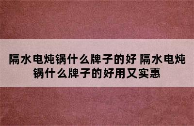 隔水电炖锅什么牌子的好 隔水电炖锅什么牌子的好用又实惠